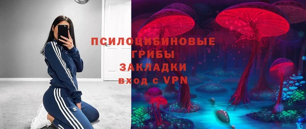 сатива Кохма