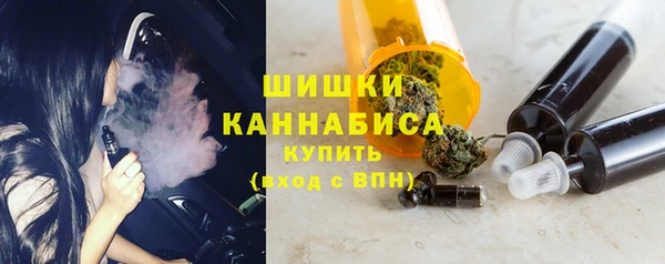 стаф Дмитриев