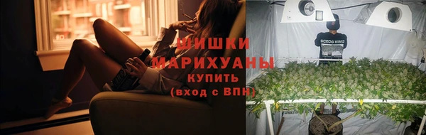 стаф Дмитриев