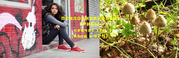стаф Дмитриев