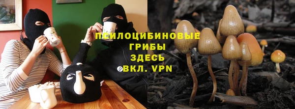 ПСИЛОЦИБИНОВЫЕ ГРИБЫ Дмитров