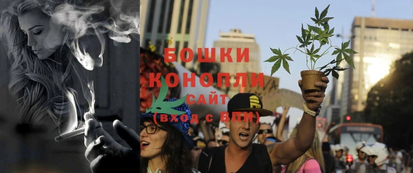 ПСИЛОЦИБИНОВЫЕ ГРИБЫ Дмитров