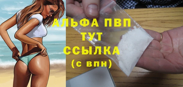 стаф Дмитриев